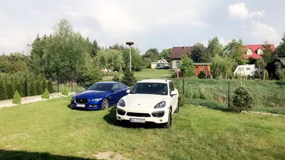 AutoFree Pomoc Drogowa Samochód Zastępczy